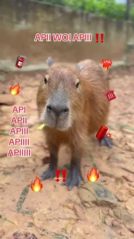 Apii ❤️‍🔥🔥🌺🧨🧯#VinWonders #GreenCreator #dulich #vinpearlsafariphuquoc #chuoi 