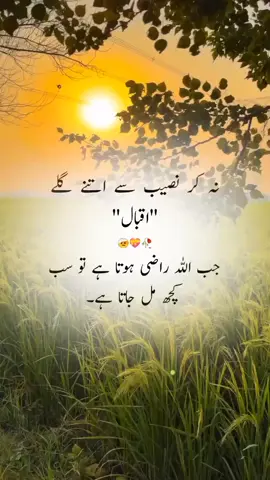 allama iqbal❣️ #allamaiqbal #urdupoetry #foryou 