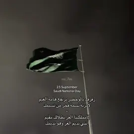 هذا اليوم ماهو مثل اي يوم 💚. #اليوم_الوطني_السعودي_95 #fypツ #fyp #viral #4u 