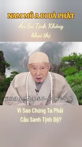 #nammoadidaphat #hoathuongtinhkhong 