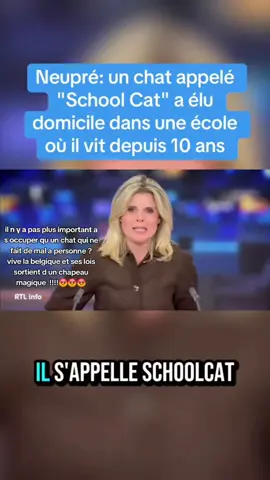 #duo avec @RTL info  #absurdité    #honte  #honteux #actu 