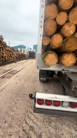 #holztransport #timbertruck #mama 