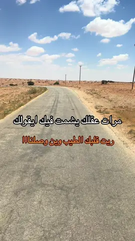 #سلوق #بنغازي #ليبيا_طرابلس_مصر_تونس_المغرب_الخليج #مشاهدات #شعب_الصيني_ماله_حل😂😂 