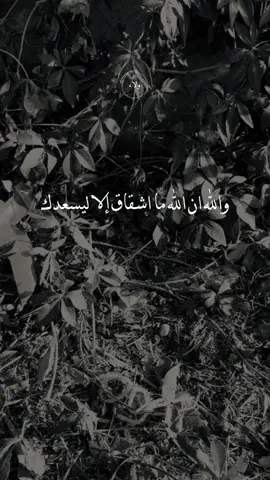 #دعاء_يريح_القلوب_ويطمئن_النفوس #امين_يارب🤲🏻🥀🕊️ #اللهم_صلي_على_نبينا_محمد #صلوات_الله_عليك_يا_حبيبي_يا_رسول_الله 