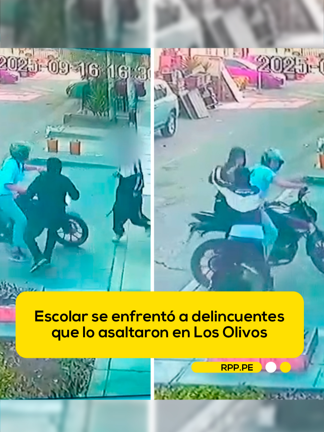 🔴 Un escolar se enfrentó a delincuentes que lo asaltaron en el jirón Manuel Rivero, en la urbanización Panamericana Norte, en el distrito de Los Olivos.  📲 Más información en rpp.pe #RPP #PNP #Perú #LosOlivos