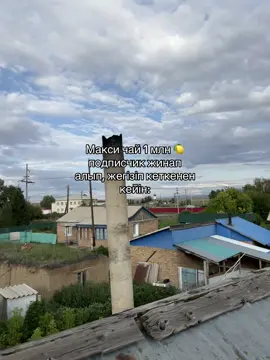 #реккк#максичаиии