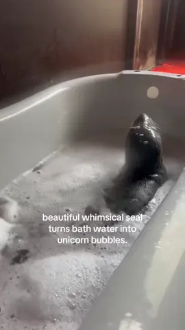pink bath. #spirituality #seal 