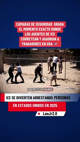 #chicagoredadahoy #noticiasen1minuto #newyorkcity #noticiastiktok #newstoday 