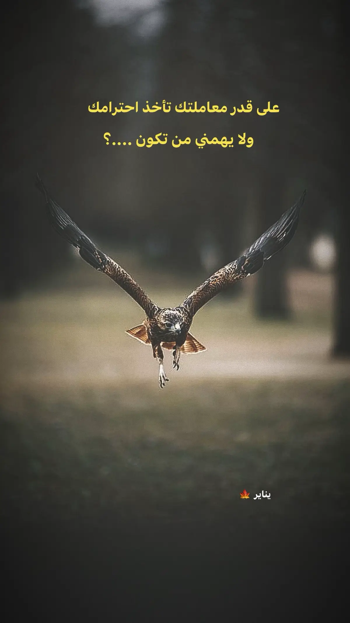 #تصميمي🎬 #cute #خواطر #عبارات_جميلة_وقويه😉🖤 #اقتباسات📝 #عباراتكم_الفخمه📿📌 #متابعون #اكسبلور 