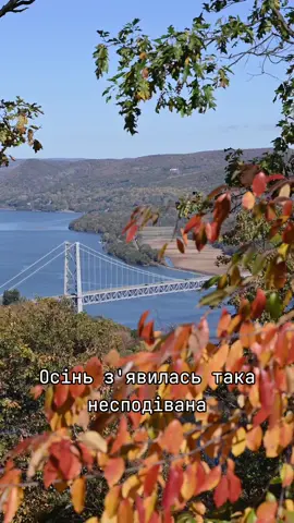 Наталія Могилевська- А в Києві осінь #Могилевська #слухайукраїнське #musictopuktaine 