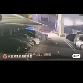 #yumenglong于朦胧 #unfair #于朦胧 #yumenglong #justice yumenglong tried to escape but was caught他要逃跑但是被抓了