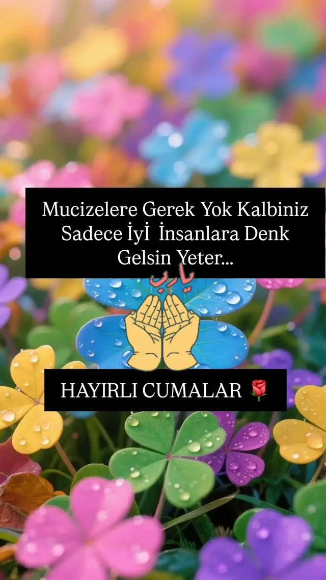 🕌🌹☘️