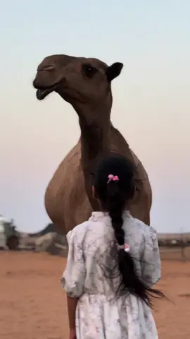 #اكسبلور #الهاشتاقات_للشيوخ 