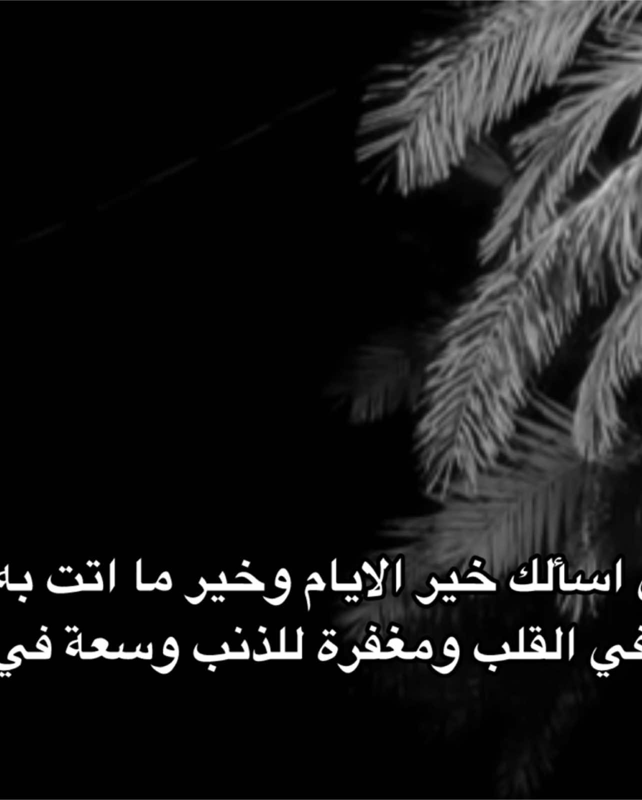 يارب ولـ كل من قال آمين#بدر_التركي#قران_كريم#اجر#دعاء