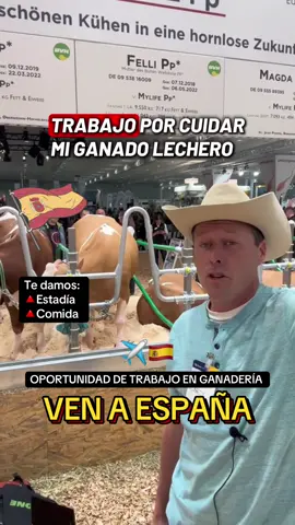 Ven a cuidar mi ganado en España 🇪🇸! Vacantes abiertas, si te interesa escribeme al WhatsApp que está en la biografía de mi perfil  #españa #zaragoza #chile #madrid #valencia 