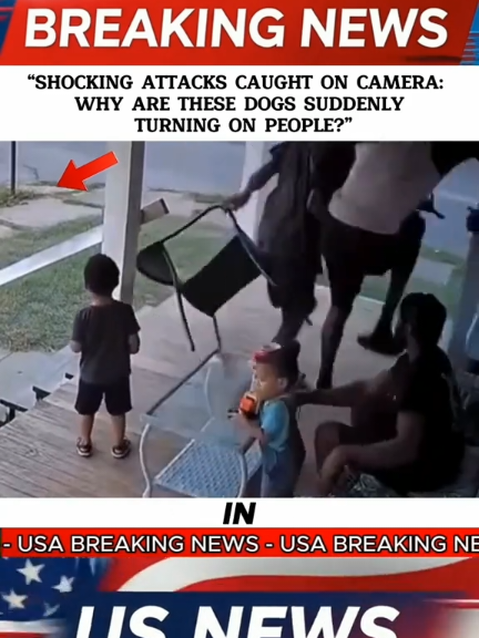 #breakingnews #usa #new 