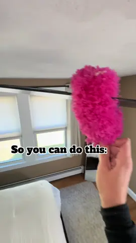 Eek this is embarrassing 🫣 My fans will never look like this again I promise 🥴 #ceilingfan #duster #cleanhouse #nomoredust #tiktokmademebuyit 