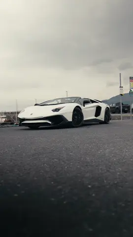 v12 duo😍 #lamborghini #aventador #car 