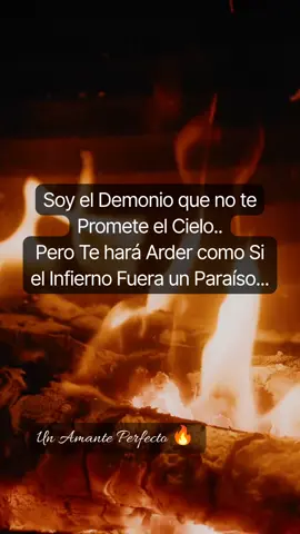 #amanteperfecto🔥 