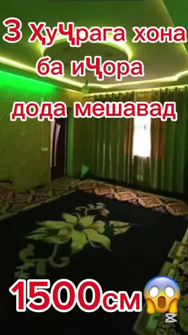 СУПОРИДА ШУД✅
