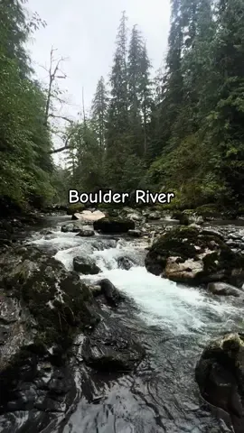 Get outside on the rainy days! 🌲🌲🪵🌧️🌧️ .• .• .• #pnwcheck #fyp #northcascades #pacificnorthwest #wildernesstherapy 