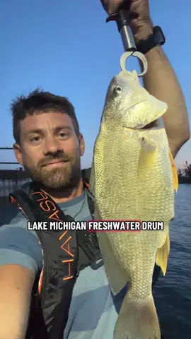 Fishing Lake Michigan on a boat 🎣 #fishing #fishinglife #fishingvideos #lakemichigan #freshwaterfishing 