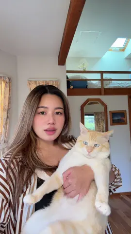 Another one #catsoftiktok #daikoncat 
