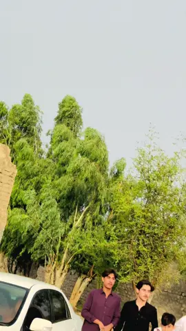 TaRoR Zawai ❤️FarMan 🫶🏻Bahi🌺 #flyyyyyyyyyyyyy #foryou #goviral #pakistanzindabad #🇵🇰🫡
