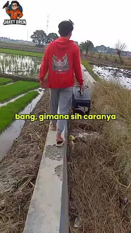 cara membuat merpati nurut  #merpati #merpatiff #merpatifftegal #freefly #merpatifreefly 