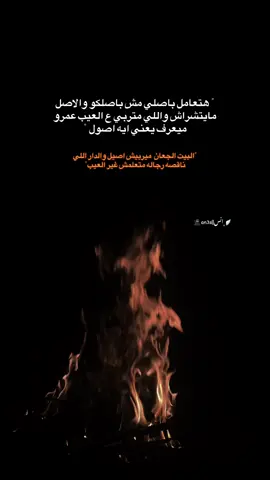 هصون عيشك وملحك 🖤✨#fyp #fypシ #viral #viral #اكسبلور 