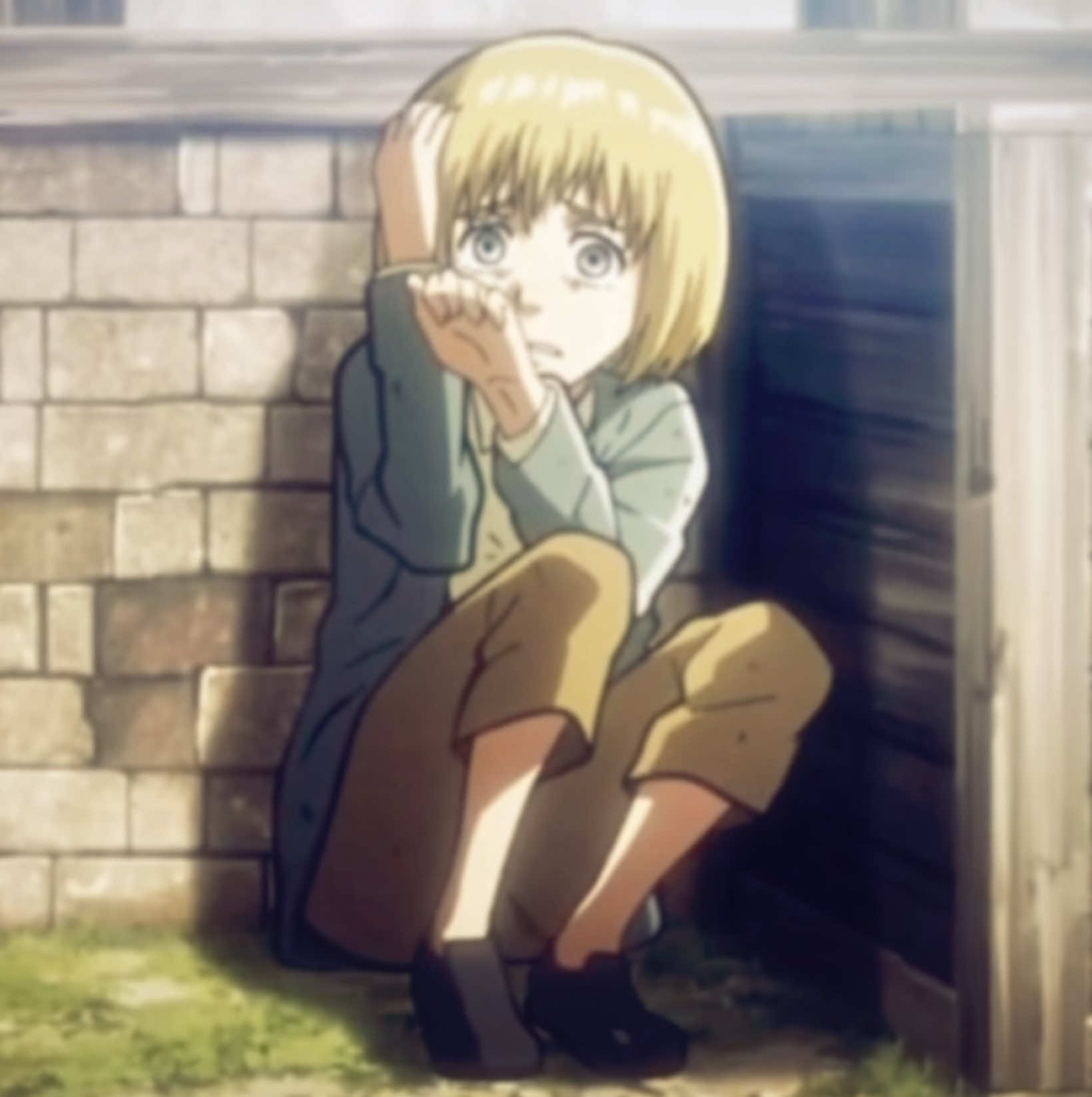 :) #erenjaeger #arminarlert #aot 