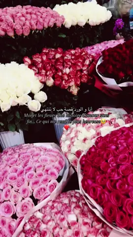 #قصه_حب #fleur #fffffffffffyyyyyyyyyyypppppppppp #لايك_متابعه_اكسبلور #💗💗💗💗 