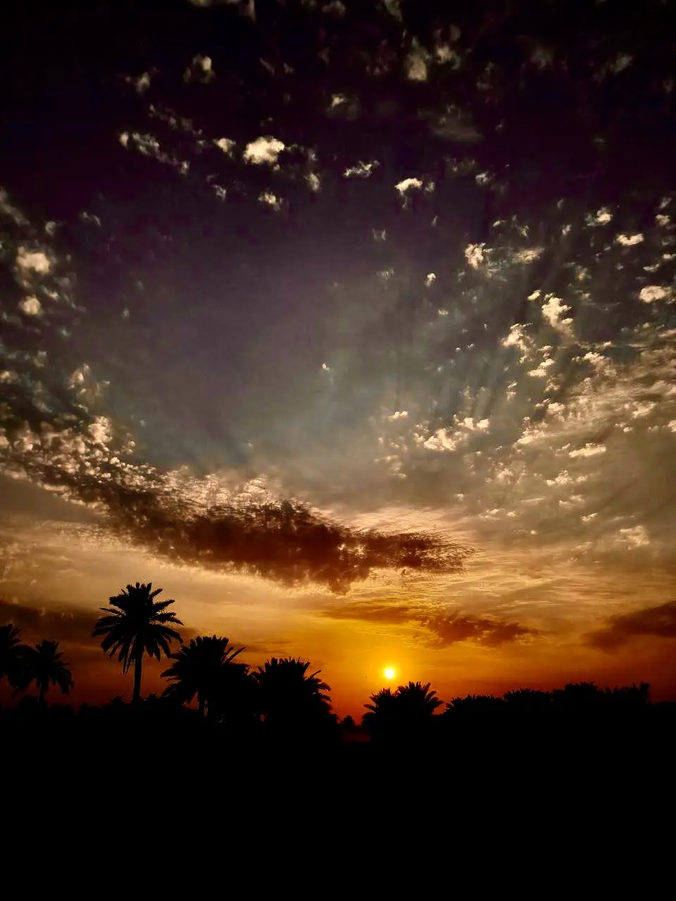 تصويري 