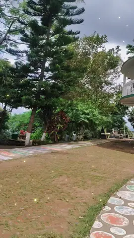 নীলাচল, বান্দরবান 💚