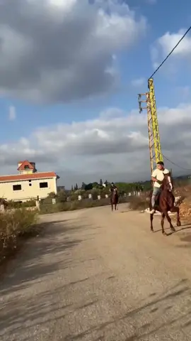 #zeftahorseridingclub #horse #horses 