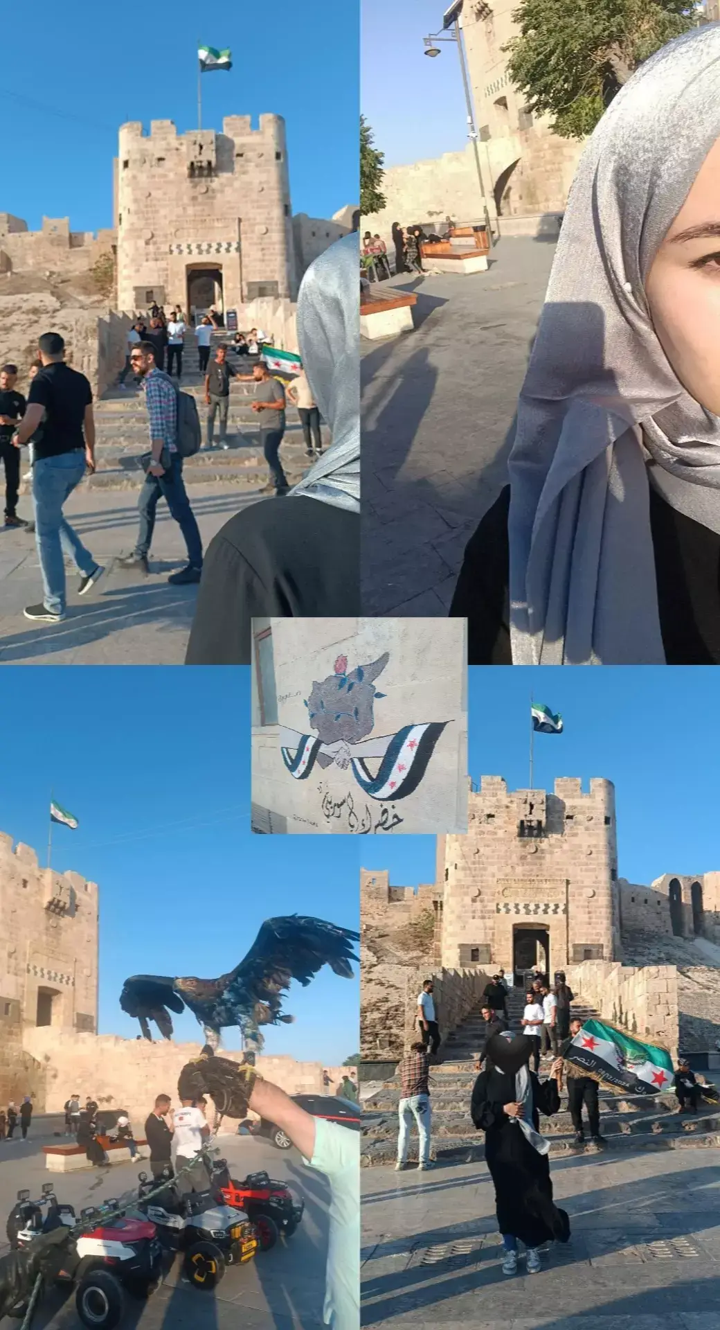 Aleppo 💚 #viral #foryoupage #اعادة_النشر🔃 #مالي_خلق_احط_هاشتاقات🧢 #محظور_من_الاكسبلور🥺 