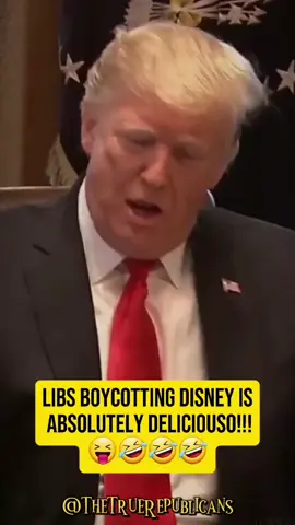 LIBS BOYCOTTING DISNEY IS ABSOLUTELY DELICIOUSO!!!😝🤣🤣🤣