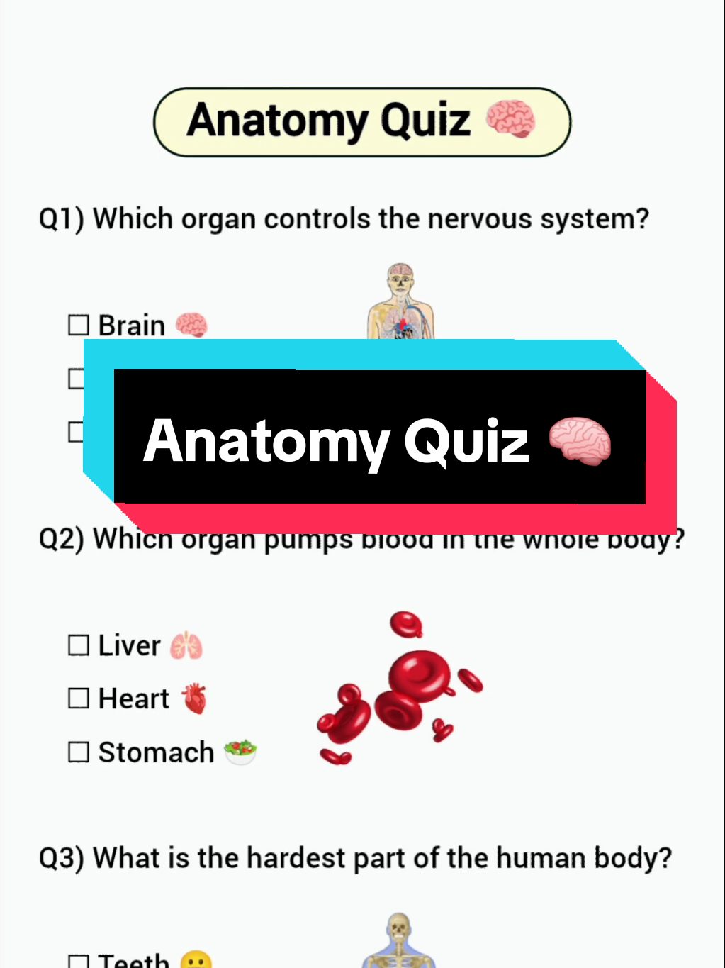 Anatomy Quiz can you get 3/3 ☑️ #quiz #quizchallenge #anatomyquiz #education #fyp 