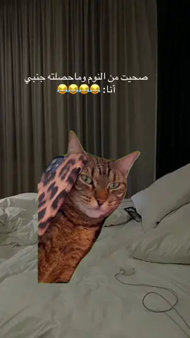 #Meme #MemeCut #اكسبلورfoyou #fyp #الشعب_الصيني_ماله_حل😂😂 