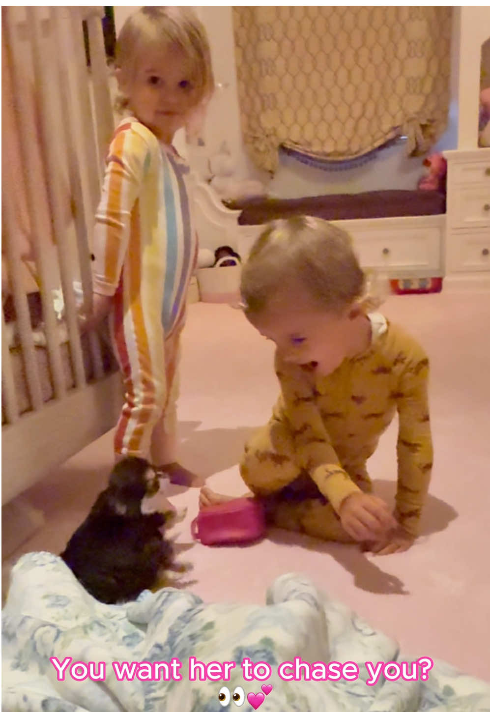 Welcoming our fur baby into the family 🥹💞 Can you guess what our new puppy’s name is? Hint: it’s #Iconic 😘 #CutesieCrew 🐶✨ #ParisAndPups @Paris and Pups @Hilton Pets @BUUSKI 🐾