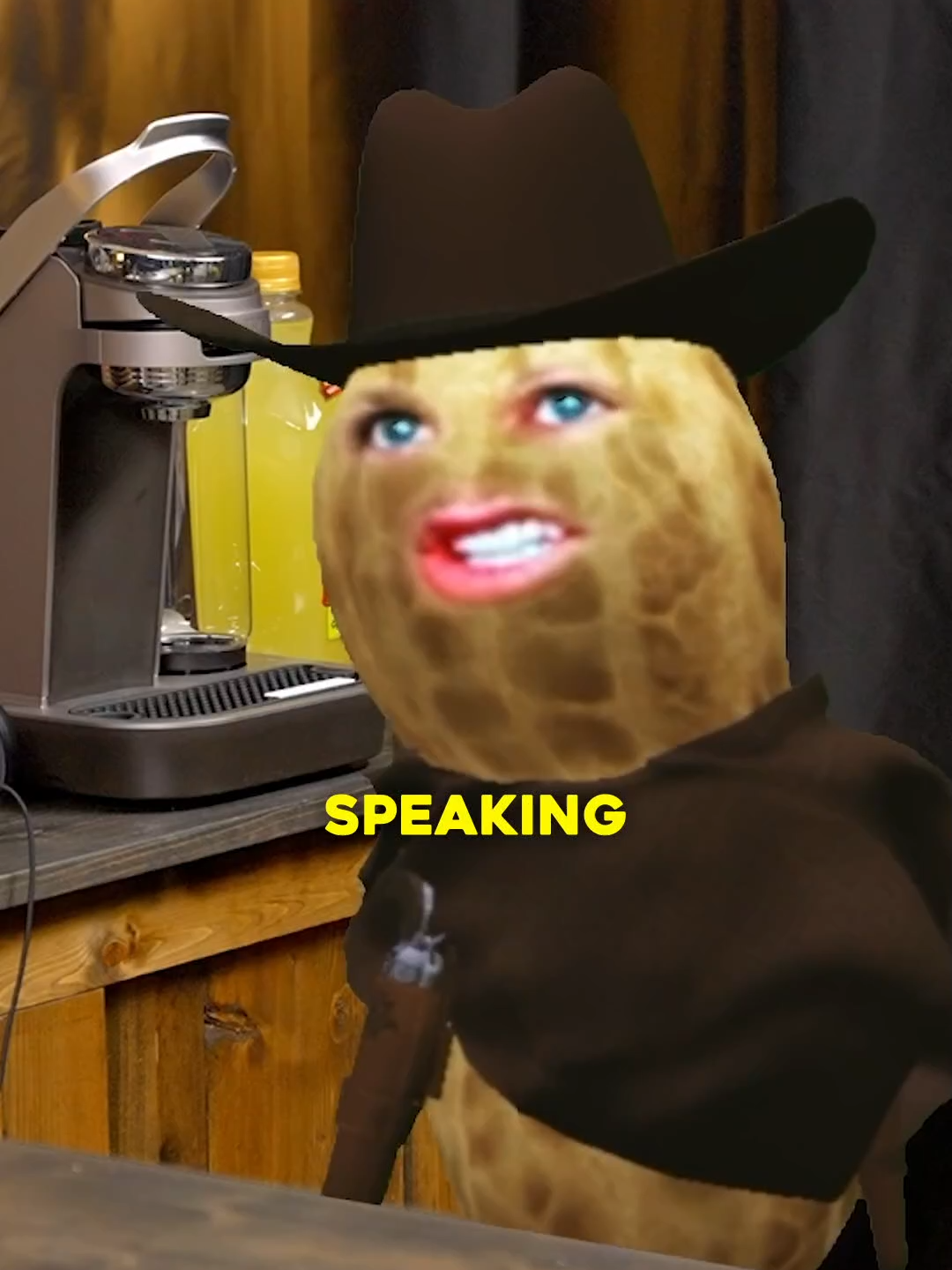 peanut makes his first podcast debut IN PERSON #fyp #peanut #bungus