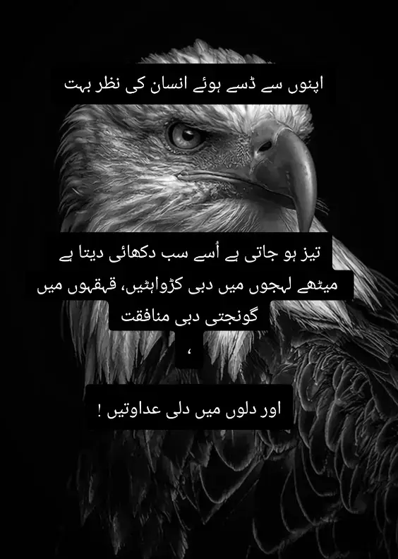 #foryou #viral #tiktok 