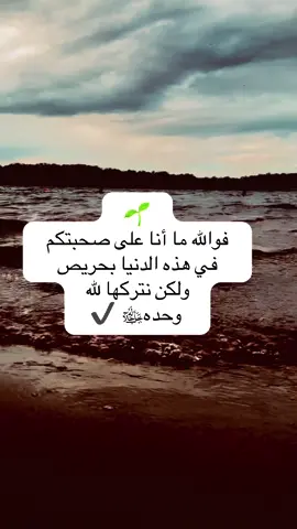 #أبلغكم #المدينة_المنورة #السعودية🇸🇦 