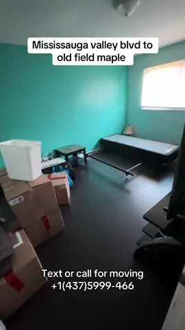 #movingontario #canadamovers #movingmississauga #tiktokcanada #malwabelt 