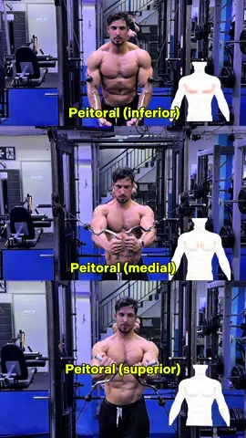 Qual variação você está usando mais no seu treino de peito? Por que esses 3 exercícios de peito são válidos? Porque cada um atinge o peito em um ângulo diferente, o que muda o recrutamento das fibras musculares e contribui para o desenvolvimento total do peitoral. 👉 Cada uma complementa a outra. Você não consegue isolar totalmente uma parte, mas pode dar ênfase ajustando a execução e a forma. Isso é hipertrofia inteligente. #ChestDay #MuscleGrowth #SmartTraining #fitnesscoach 