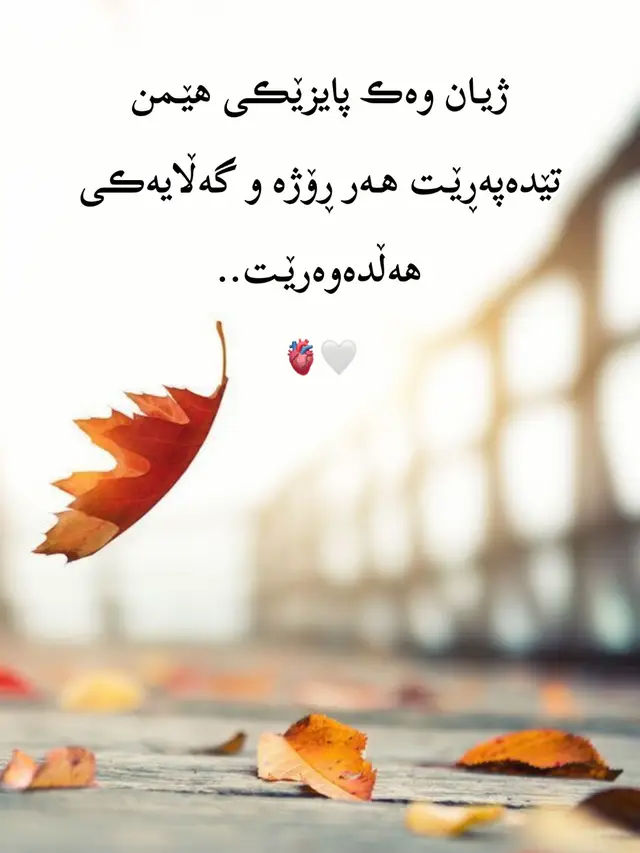 #خوشناو🖤🦅 #ئەکتیڤبن🥀🖤ـہہـ٨ــہ 