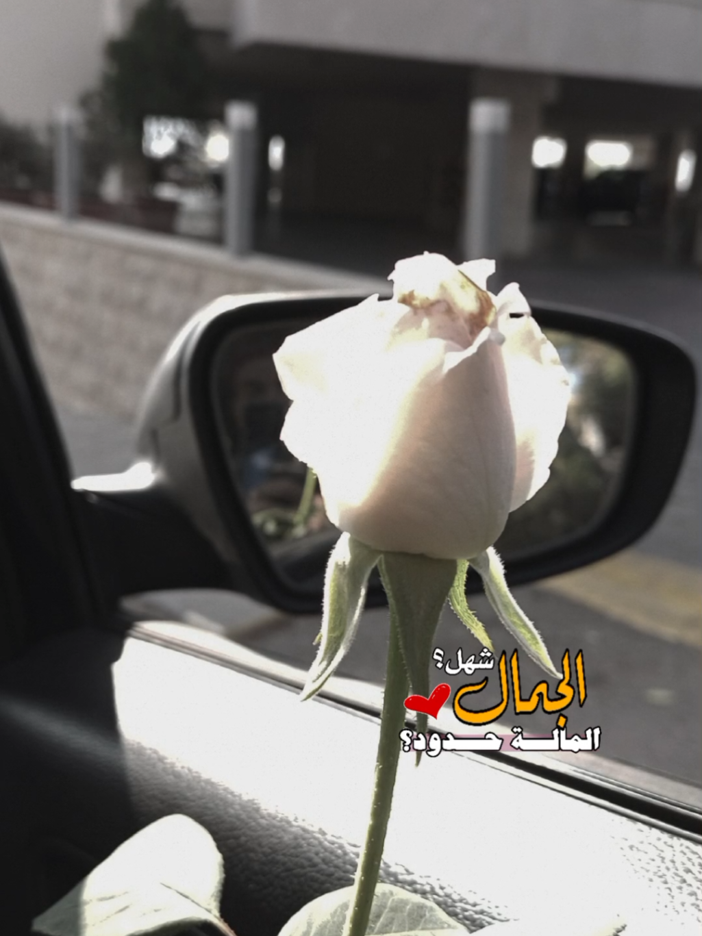 #CapCut #اكسبلور #viral #تصويري #lavendr81 