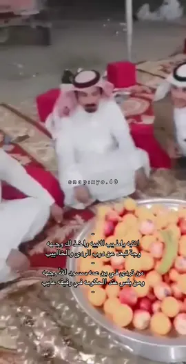 هالله الله#قصايد #fyp 
