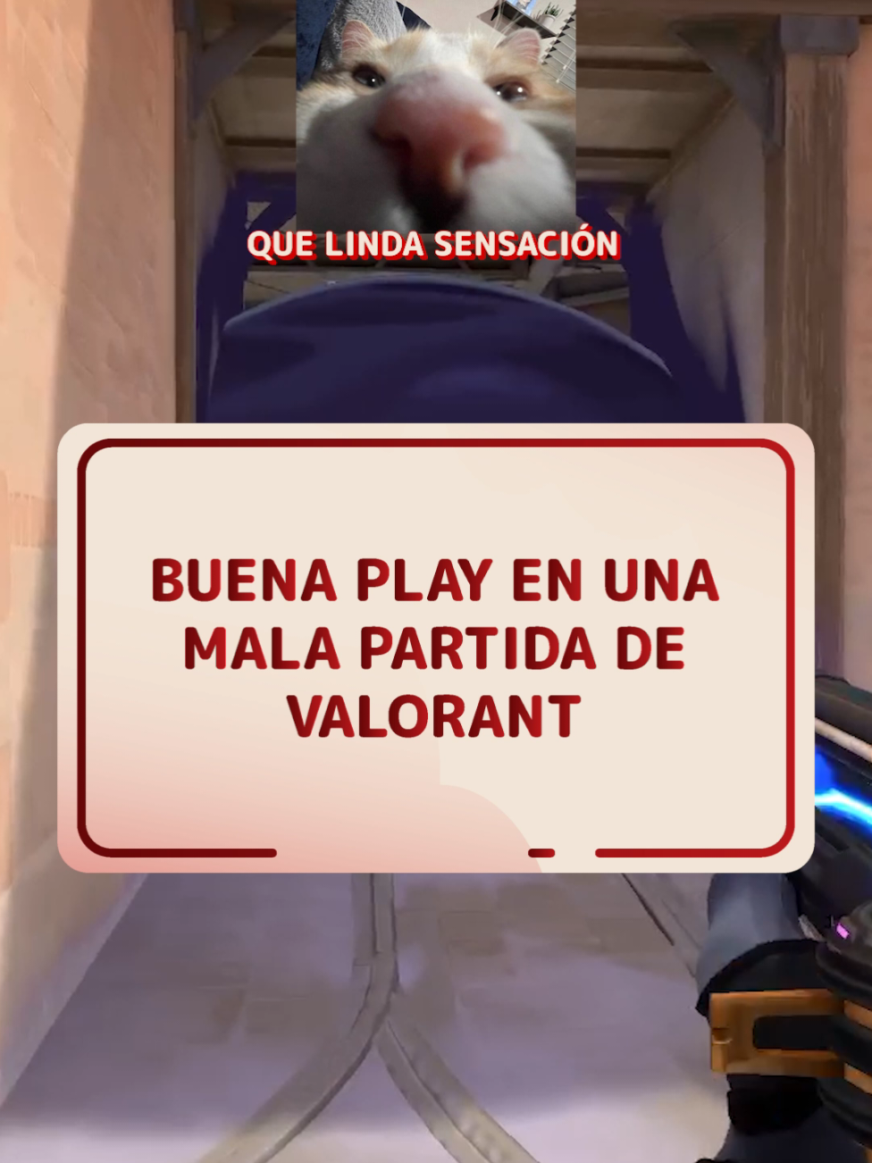 ¿Estará la Jett orgullosa de mí? #Valorant #valo #valorantclips #valorantmemes #aprilfx 