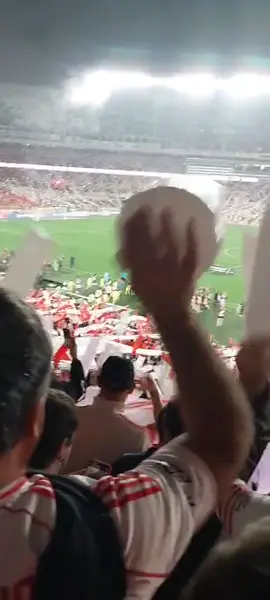 Recibimiento River vs Palmeiras #fyp #paratii #palmeiras #copalibertadores #riverplate 